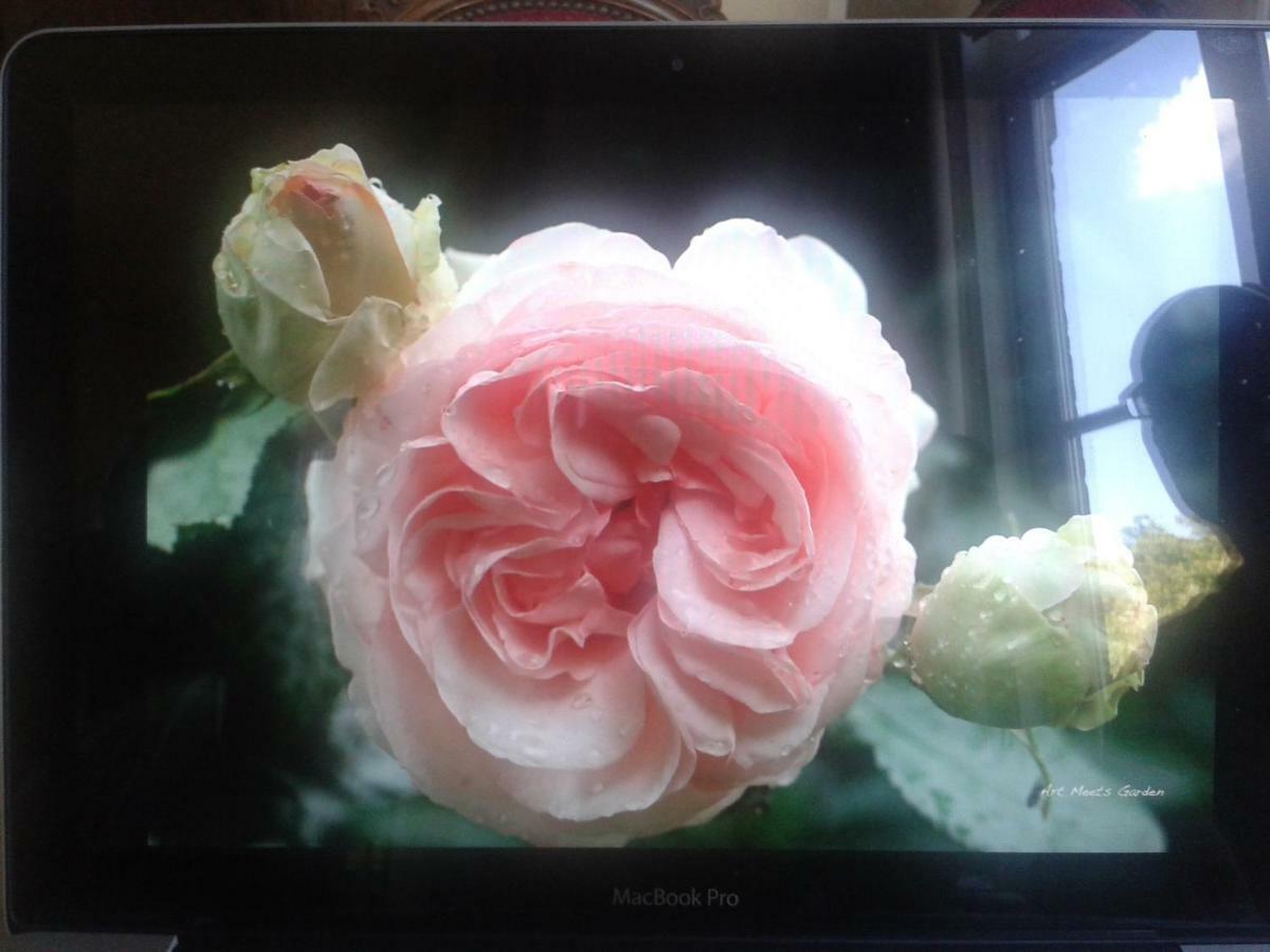 La Villa Des Roses Durbuy Ngoại thất bức ảnh